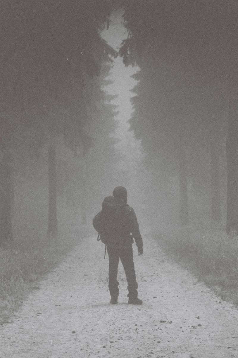 Fotka kosmonauta v mlze