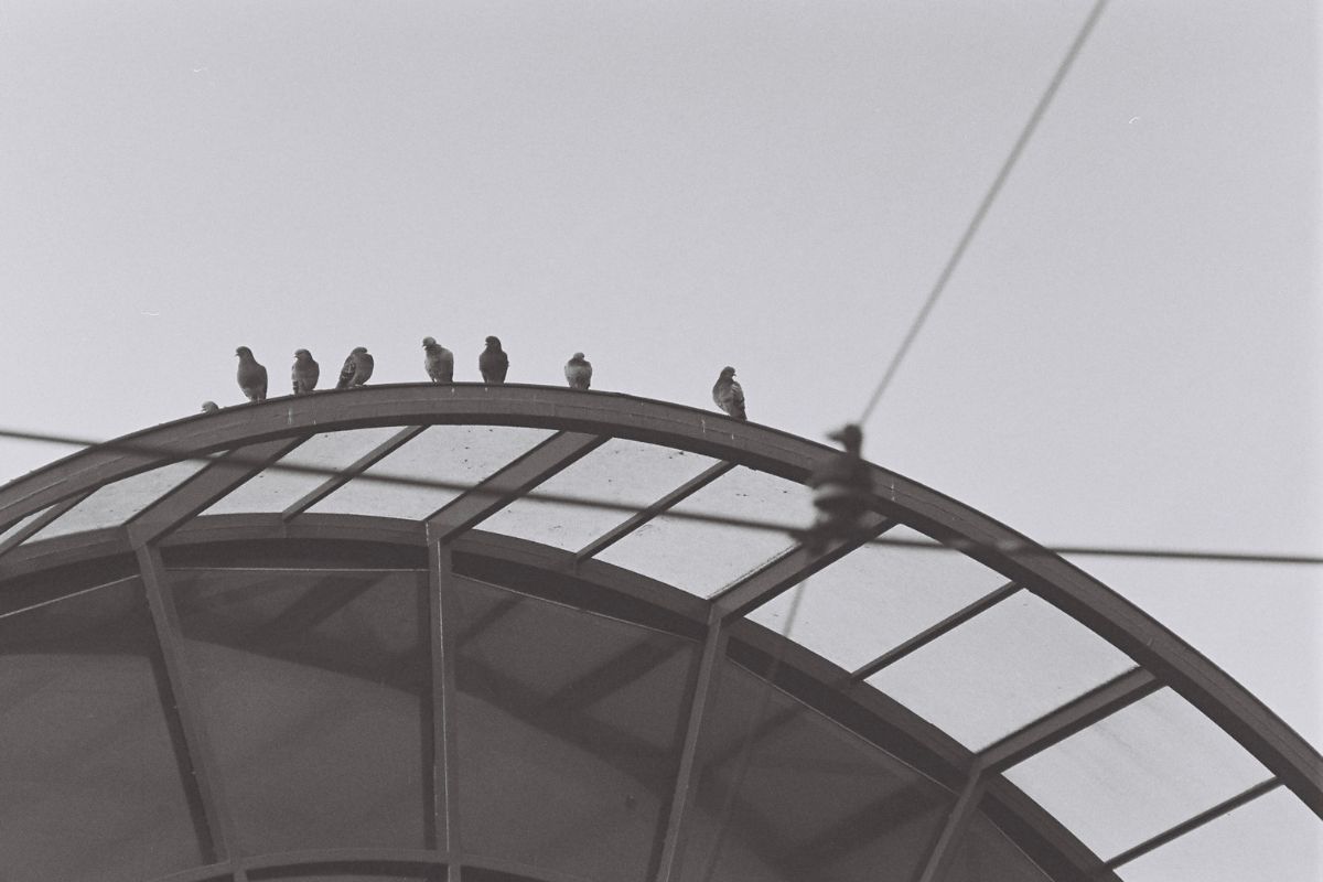 Fotka obyvatel autobusového terminálu